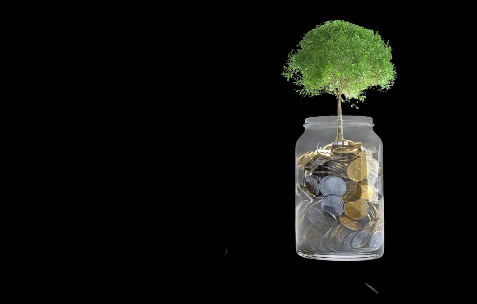 Tree growing from savings